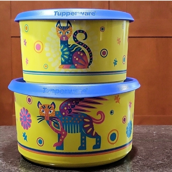 Festive Alebrije One Touch® Canister Set - Picture 2 of 7